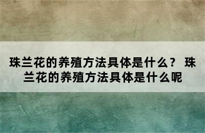 珠兰花的养殖方法具体是什么？ 珠兰花的养殖方法具体是什么呢